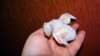 DSC01205.JPG