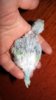 DSC01207.JPG