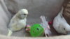 DSCF8546.JPG