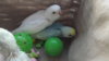 DSCF8548.JPG