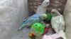 DSCF8550.JPG