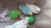 DSCF8553.JPG