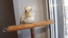 DSCF8578.JPG