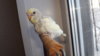 DSCF8579.JPG