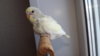 DSCF8580.JPG