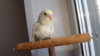 DSCF8581.JPG