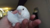 DSCF8781.JPG