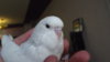 DSCF8784.JPG