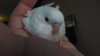DSCF8792.JPG