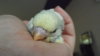 DSCF8798.JPG