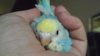 DSCF8803.JPG