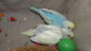 DSCF8814.JPG