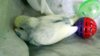 DSCF8893.JPG