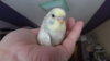 DSCF8882.JPG