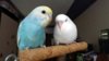 DSCF8866.JPG