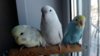 DSCF8926.JPG