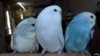 DSCF8929.JPG