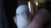 DSCF8907.JPG