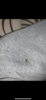 764A7684-E036-41F1-8AA6-425B65A864C7.png