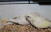 37.jpg