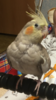 AA7FB7A0-2777-4436-BB17-5E7D76CA2337.png