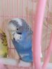 IMG_20200223_154403.jpg