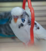 IMG_8208-20.jpg