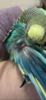 E0F12384-1D77-49F9-B948-601E957AAB1B.png