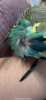 16281F94-79A8-4B02-92C2-440511F037B5.png