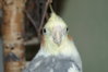 DSC00863.JPG