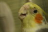 DSC00866.JPG