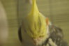 DSC00869.JPG