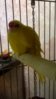 WP_20160215_003.jpg