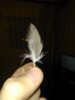 IMG_20160218_193832.jpg