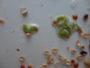 DSC02671.JPG