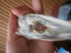 DSCN2146.JPG