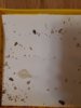 20200321_195051.jpg
