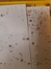 20200321_195040.jpg