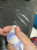 299C0502-5D04-4E4D-90EE-24BF78D53C8C.jpeg