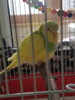 20200418_173335.jpg