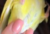 IMG-20200419-WA0008-01.jpeg