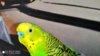 IMG_20200421_174524.jpg