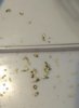 IMG_20200429_200453.jpg