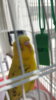 20200503_122405.jpg