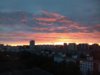 20200508_202806.jpg