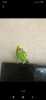 Screenshot_2020-05-10-21-35-39-821_com.lalafo.jpg