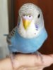 IMG_20200521_124630  .jpg