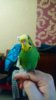 IMG-9cb38ee6ea963bcf155846c4ba7dda1f-V.jpg