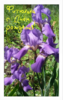 image_01-1.png
