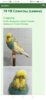 Screenshot_20191124_141714_com.android.chrome.jpg